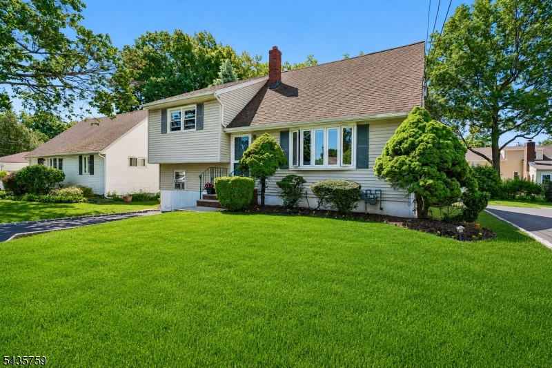 10 Whitman St