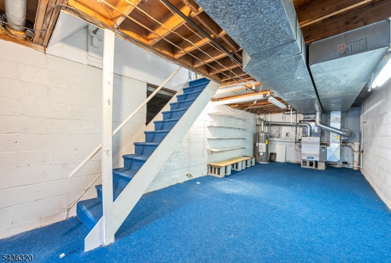 37 Wolfe Dr