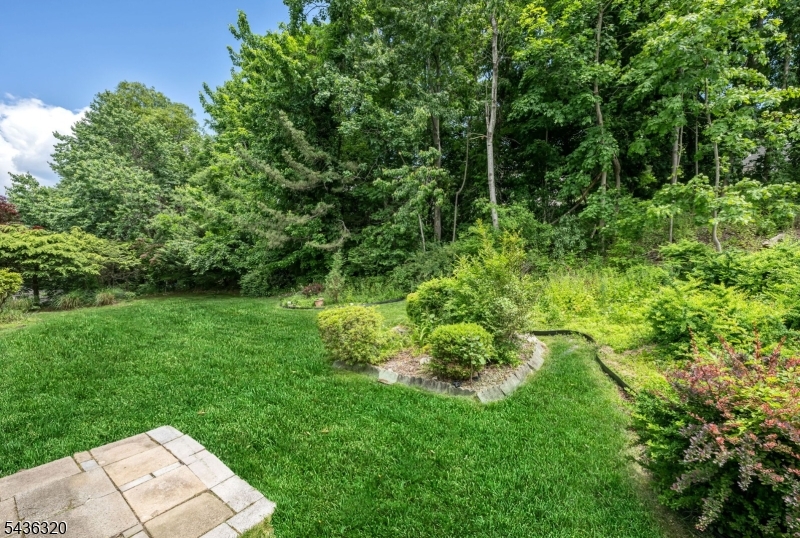 37 Wolfe Dr