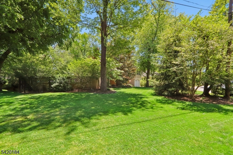 735 Radley Rd