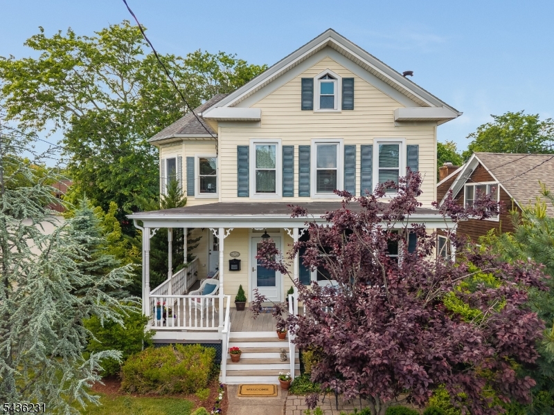 19 Bonnell Street