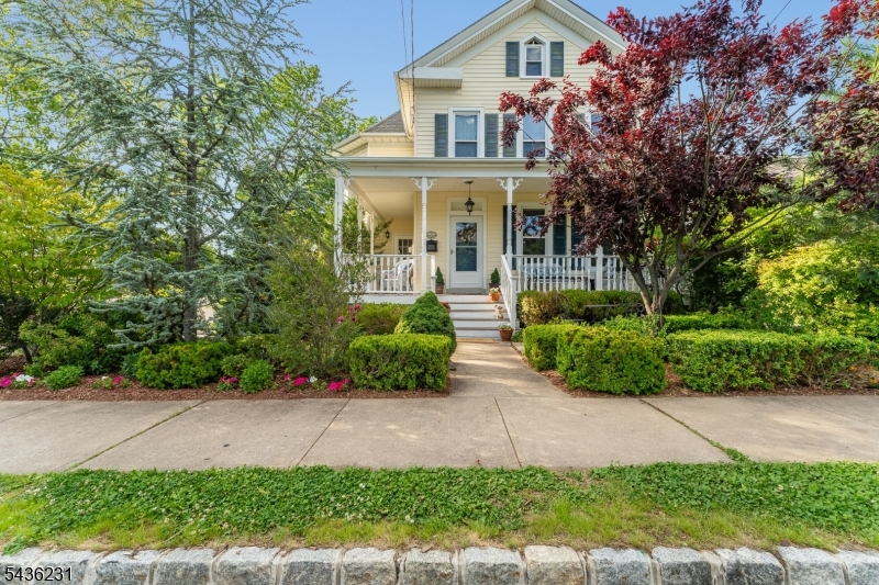 19 Bonnell Street