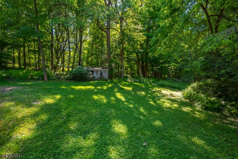 35 Windy Bush Ln