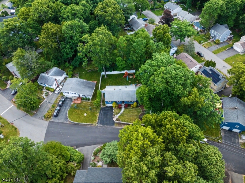 8 Seneca Ave