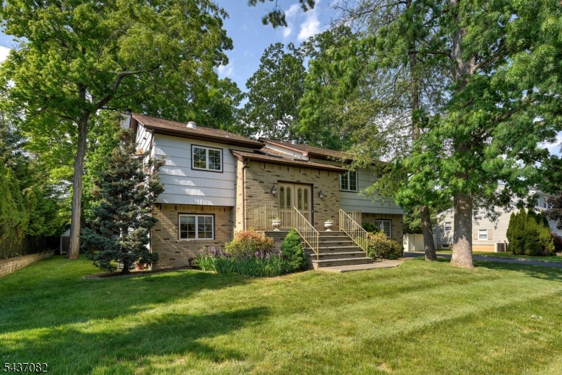 11 Yellow Brick Rd