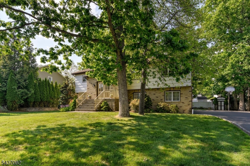 11 Yellow Brick Rd