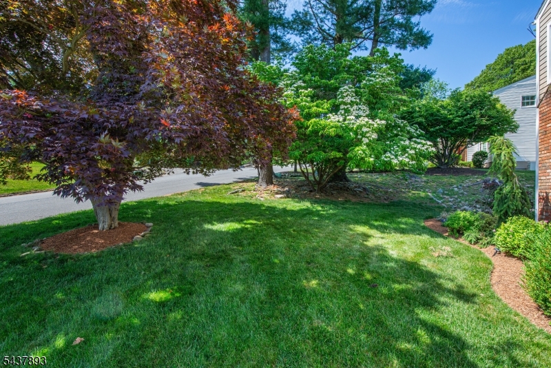 1 TULIP LN