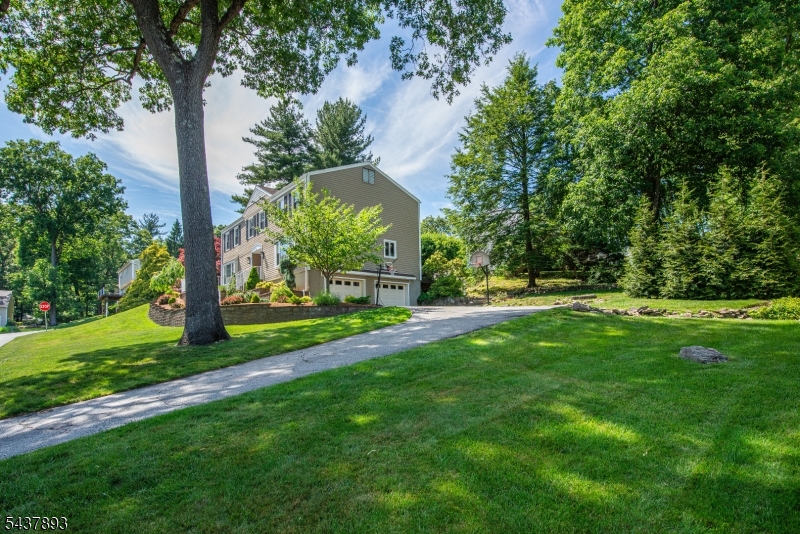 1 TULIP LN