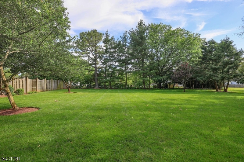 13 Daniel Dr