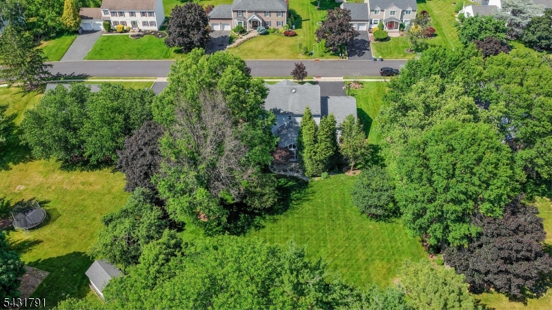 13 Daniel Dr