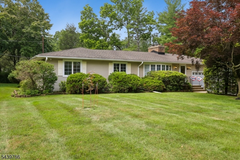 41 Carey Rd
