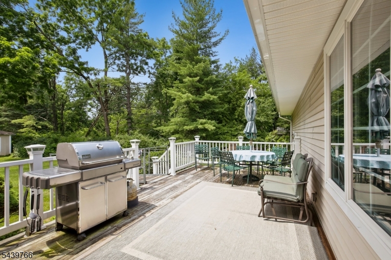 41 Carey Rd