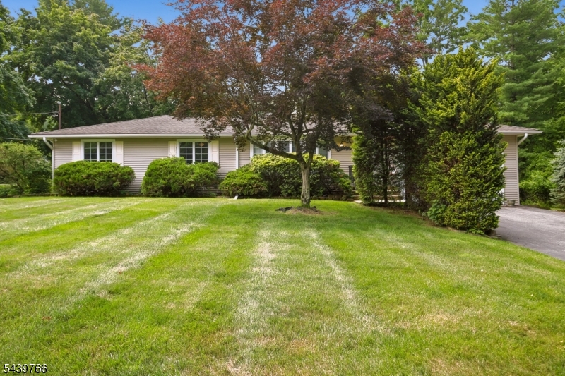 41 Carey Rd