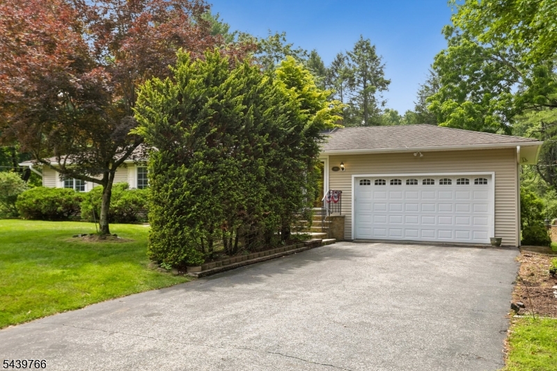 41 Carey Rd
