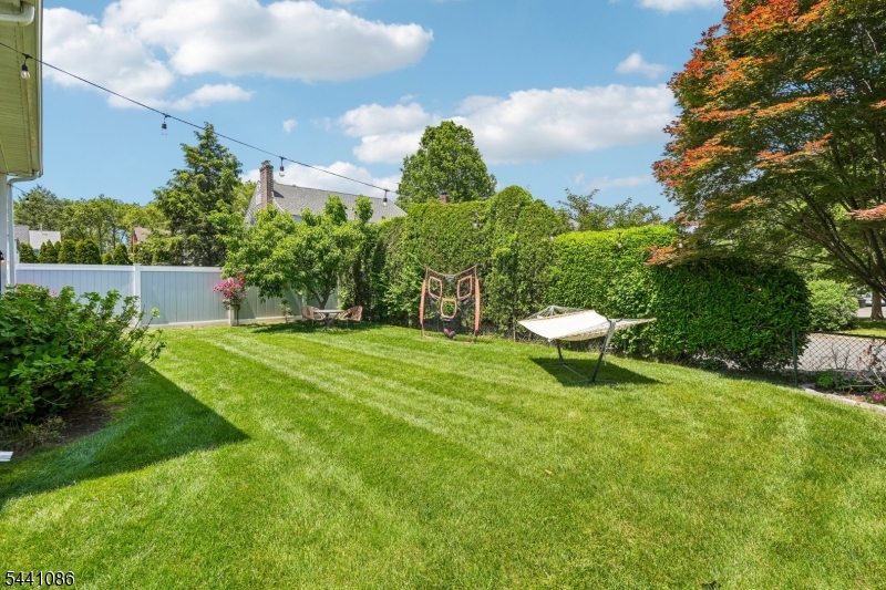 53 Dohrman Ave