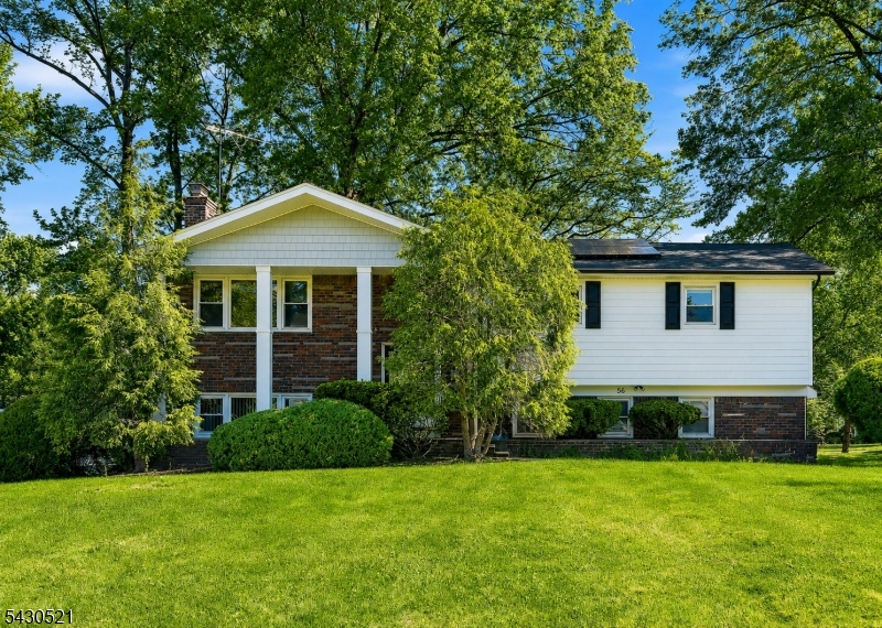 56 FRANCES DR