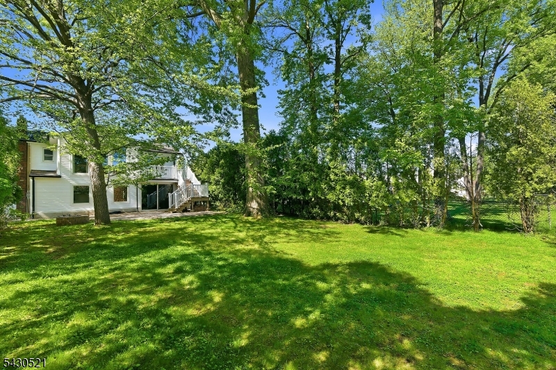 56 FRANCES DR