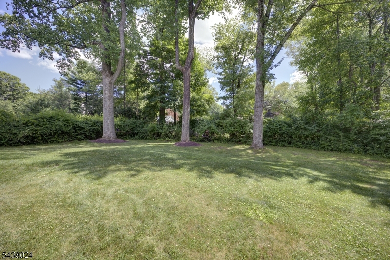 8 Phyllis Pl