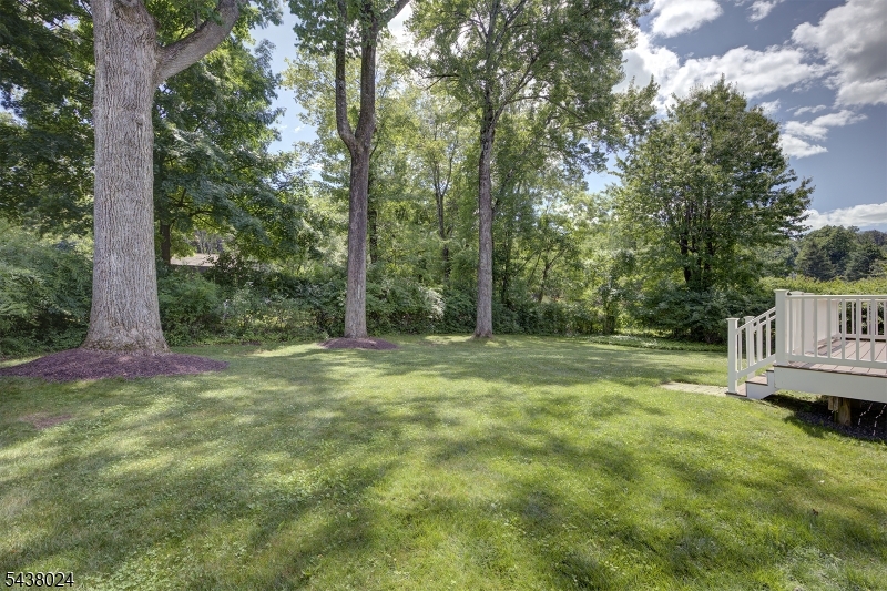8 Phyllis Pl