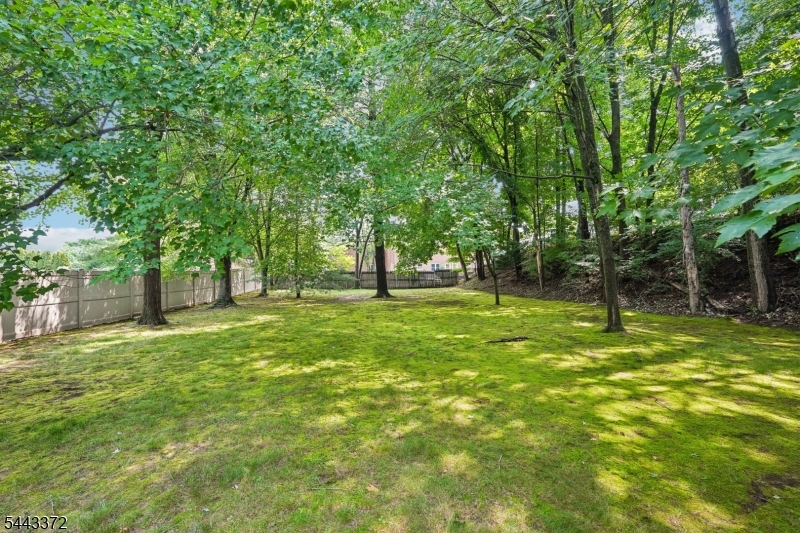 54 Church Ln