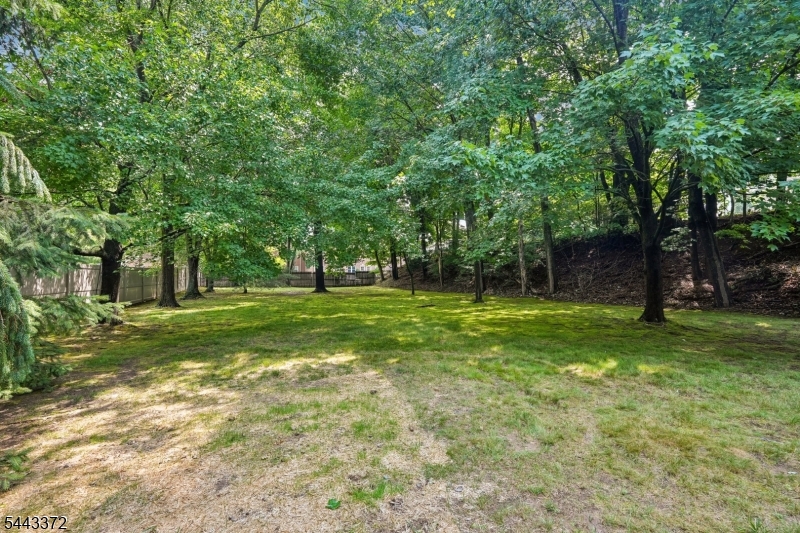 54 Church Ln