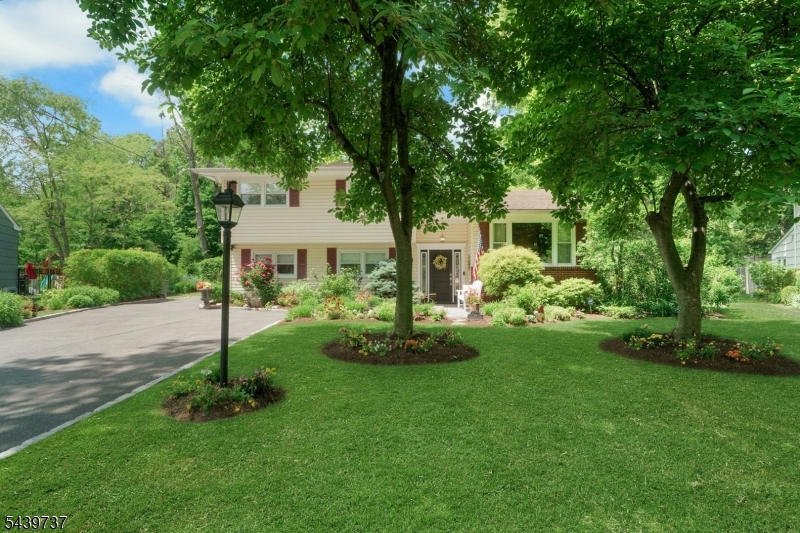 52 Stockton Rd