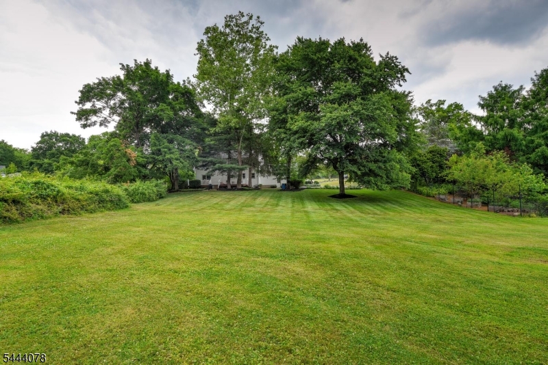 410 Stony Brook Dr