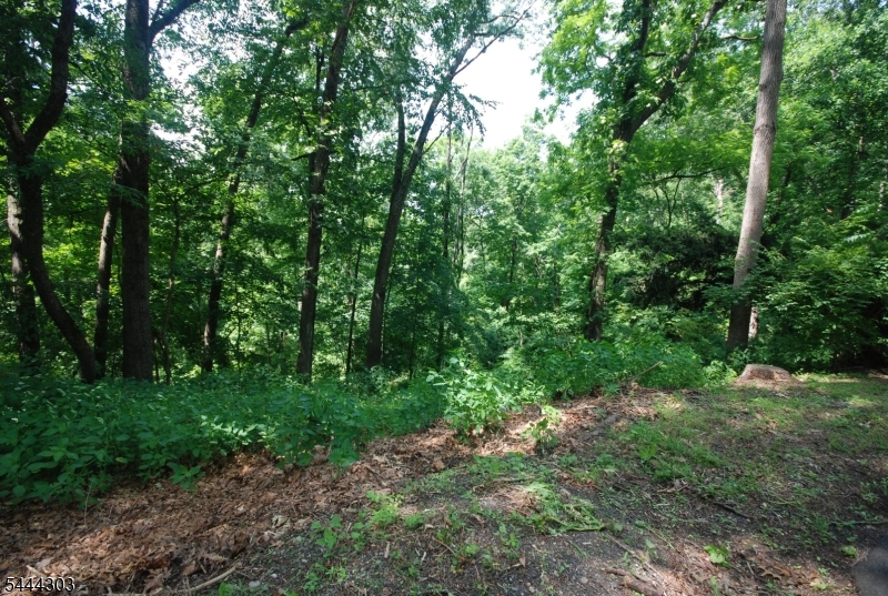 36 Mountain Lake Rd