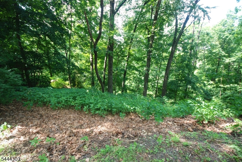 36 Mountain Lake Rd