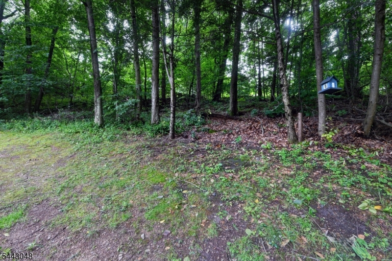 101 Old Clove Rd