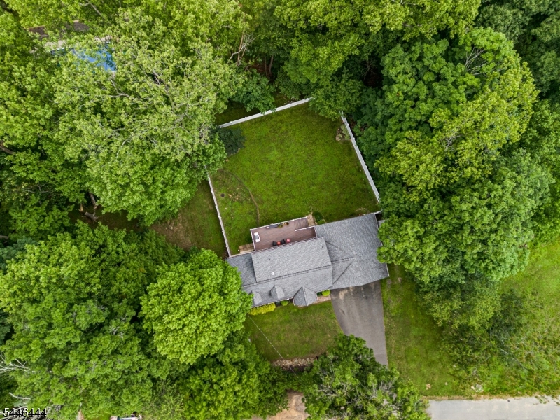 17 Bunn St