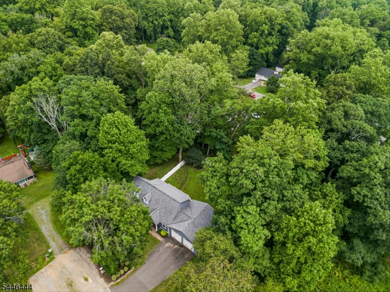 17 Bunn St