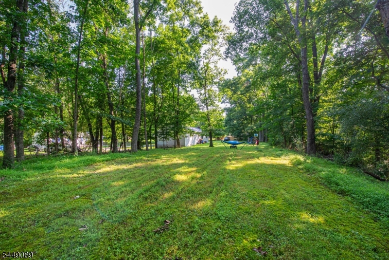 88 Crescent Dr