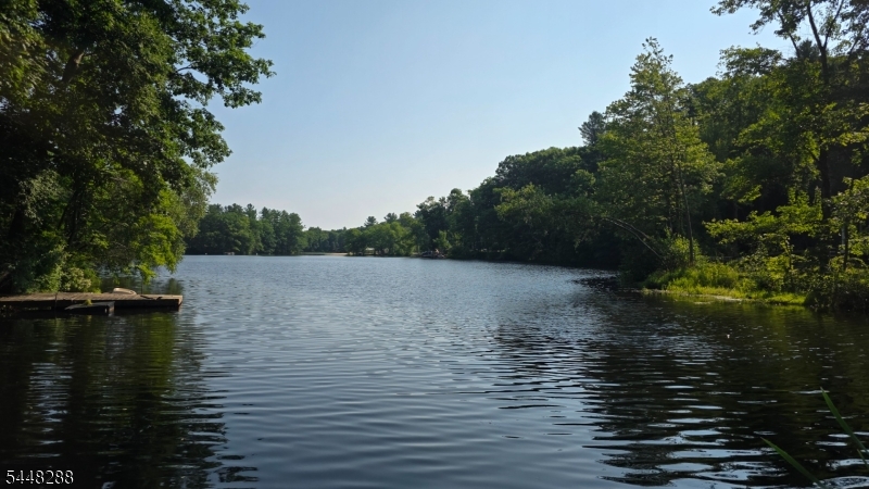 91 Goldfinch Ln