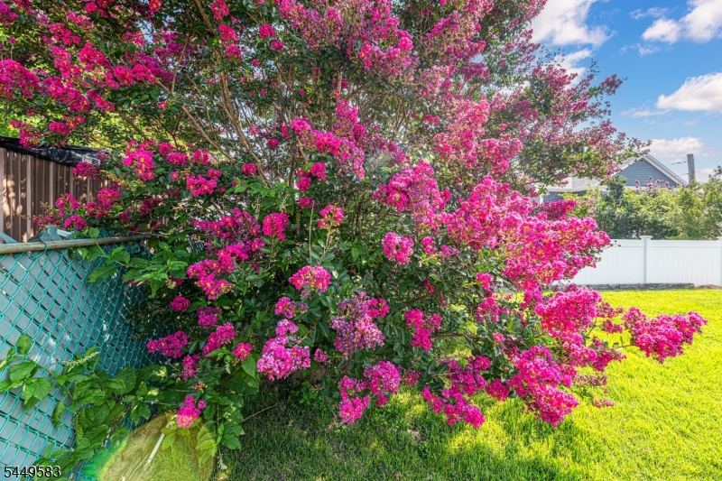 61 Doherty Dr