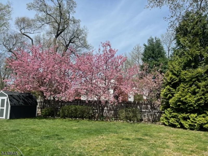 6 Woodbine Cir
