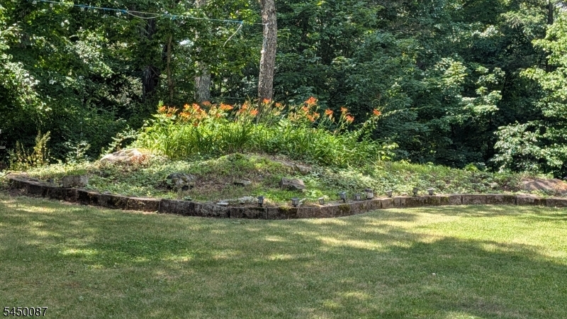 31 Hewitt Rd