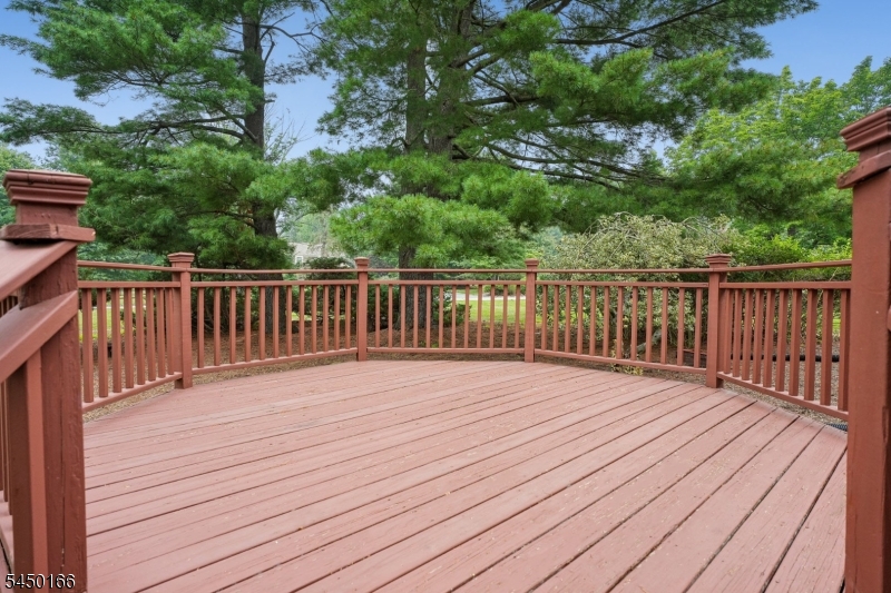 10 Sunnyfield Dr