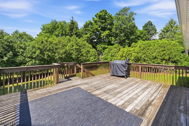 45 Ravine Ave
