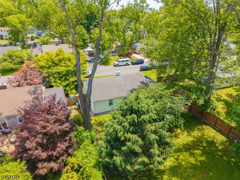 12 Pierrepont Ave