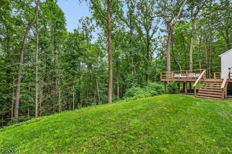 31 Warren Cutting