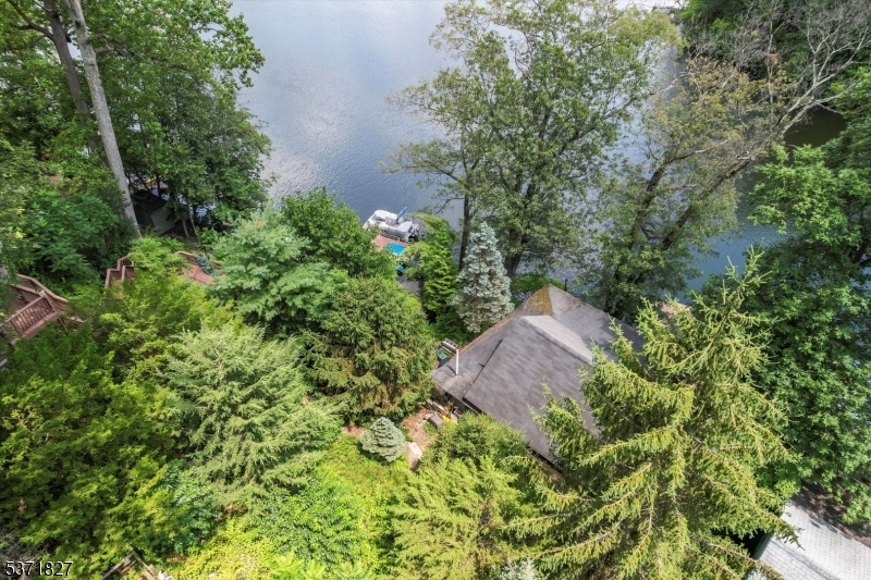 151 Pine Tree Rd