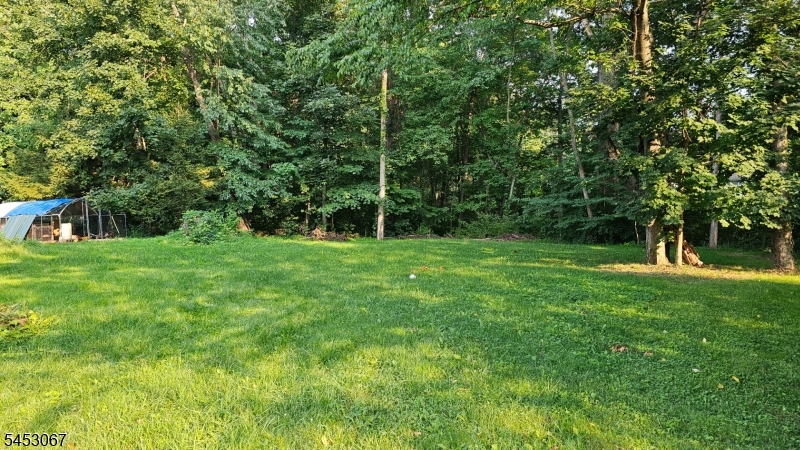 5 Woodland Trl