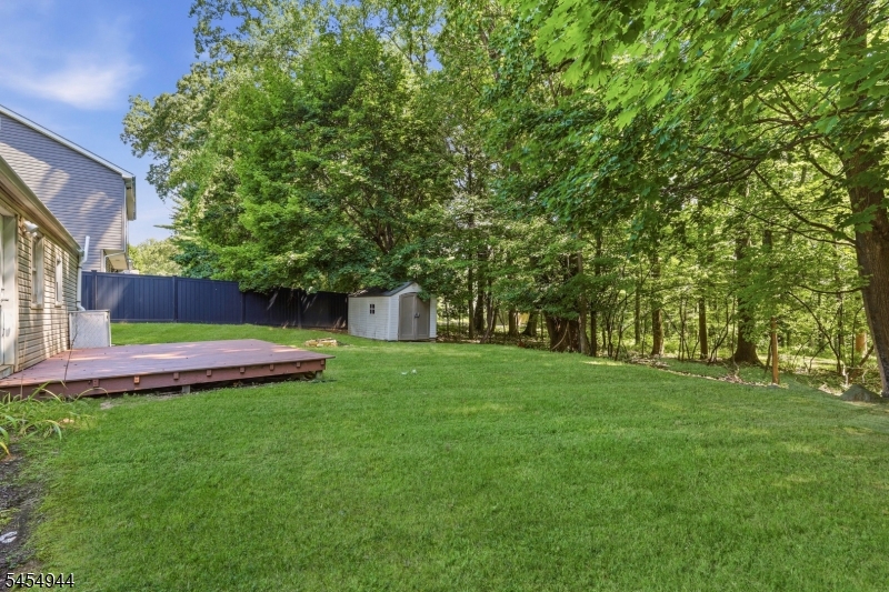 51 Memory Ln