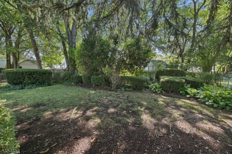 11 Concord Ave