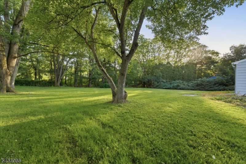 10 Lynnfield Ter
