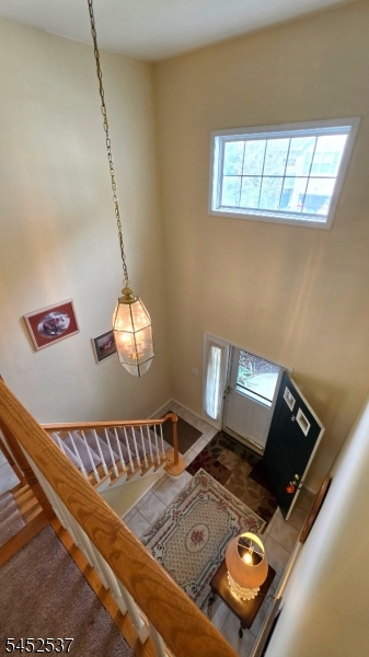 3 Druid Ln