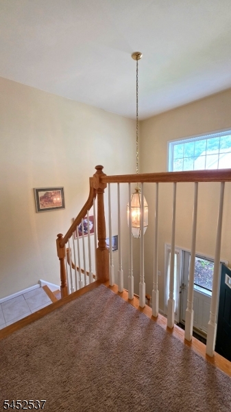 3 Druid Ln