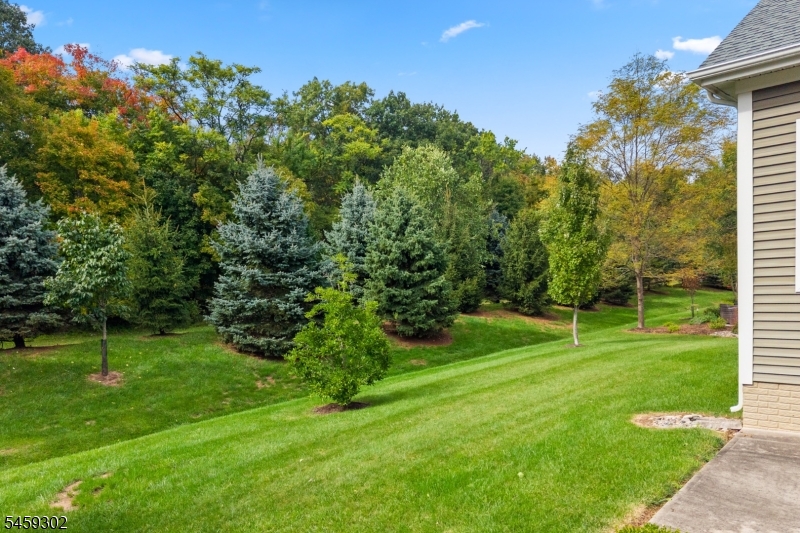 7 Portland Dr
