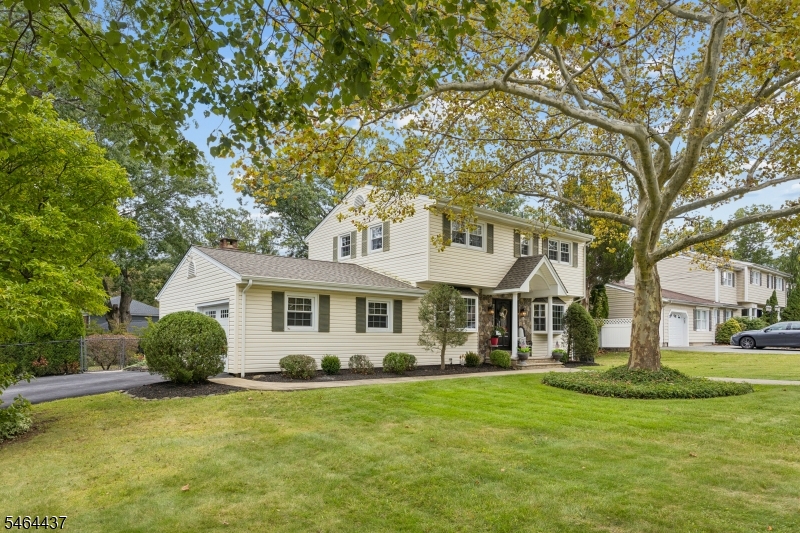 87 Webster Dr